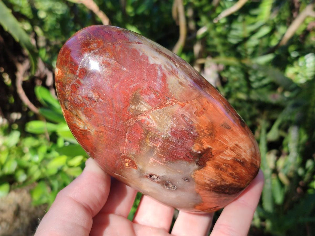 Polished Red Podocarpus Petrified Wood Standing Display Pieces x 3 From Mahajanga, Madagascar - Toprock Gemstones and Minerals 