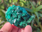 Natural Mix of Multi Mineral Specimens x 6 From Congo - Toprock Gemstones and Minerals 