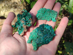 Natural Mix of Multi Mineral Specimens x 6 From Congo - Toprock Gemstones and Minerals 
