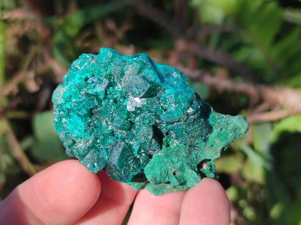 Natural Mix of Multi Mineral Specimens x 6 From Congo - Toprock Gemstones and Minerals 