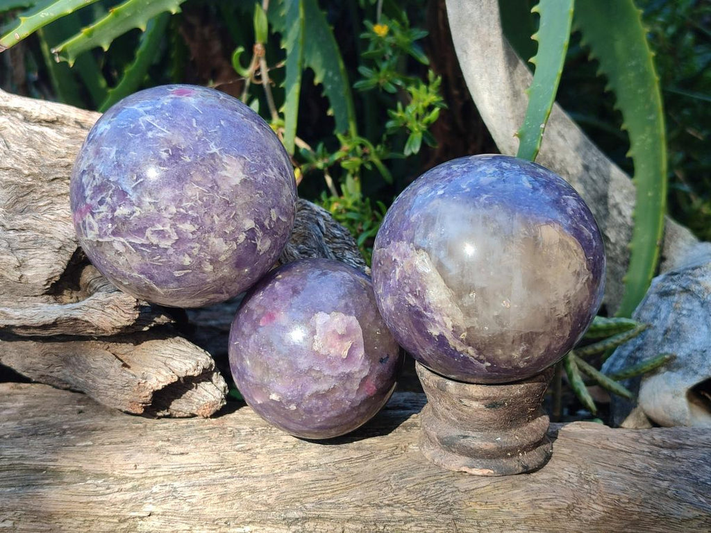 Polished Lepidolite with Pink Rubellite Spheres x 3 From Ambatondrazaka, Madagascar - Toprock Gemstones and Minerals 
