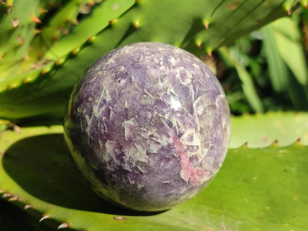 Polished Lepidolite with Pink Rubellite Spheres x 3 From Ambatondrazaka, Madagascar - Toprock Gemstones and Minerals 
