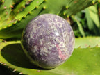 Polished Lepidolite with Pink Rubellite Spheres x 3 From Ambatondrazaka, Madagascar - Toprock Gemstones and Minerals 