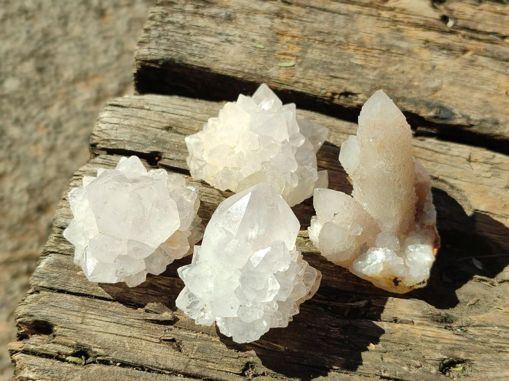 Natural White Cactus Flower Spirit Quartz Single Crystals x 70 From Boekenhouthoek, South Africa - Toprock Gemstones and Minerals 