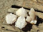 Natural White Cactus Flower Spirit Quartz Single Crystals x 70 From Boekenhouthoek, South Africa - Toprock Gemstones and Minerals 
