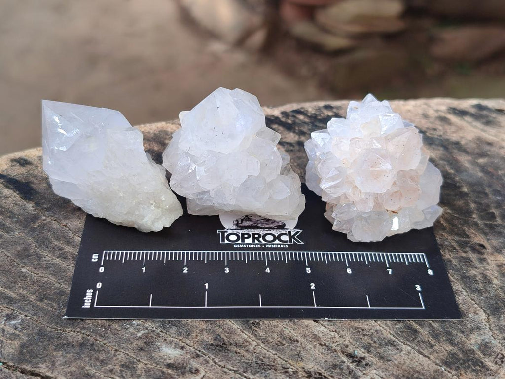 Natural White Cactus Flower Spirit Quartz Single Crystals x 70 From Boekenhouthoek, South Africa - Toprock Gemstones and Minerals 