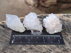 Natural White Cactus Flower Spirit Quartz Single Crystals x 70 From Boekenhouthoek, South Africa - Toprock Gemstones and Minerals 