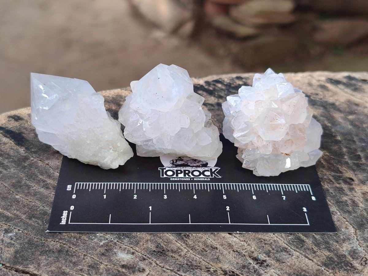 Natural White Cactus Flower Spirit Quartz Single Crystals x 70 From Boekenhouthoek, South Africa - Toprock Gemstones and Minerals 