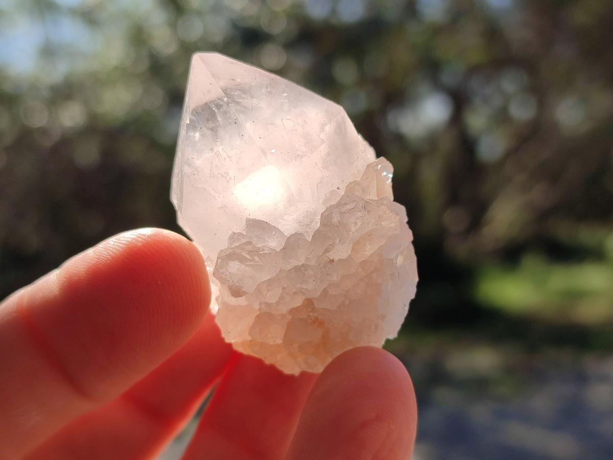 Natural White Cactus Flower Spirit Quartz Single Crystals x 70 From Boekenhouthoek, South Africa - Toprock Gemstones and Minerals 