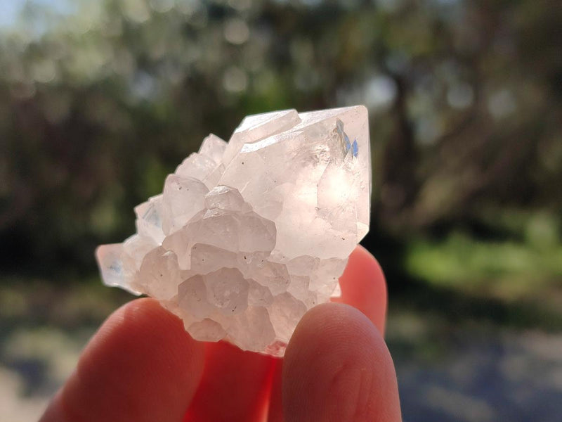Natural White Cactus Flower Spirit Quartz Single Crystals x 70 From Boekenhouthoek, South Africa - Toprock Gemstones and Minerals 