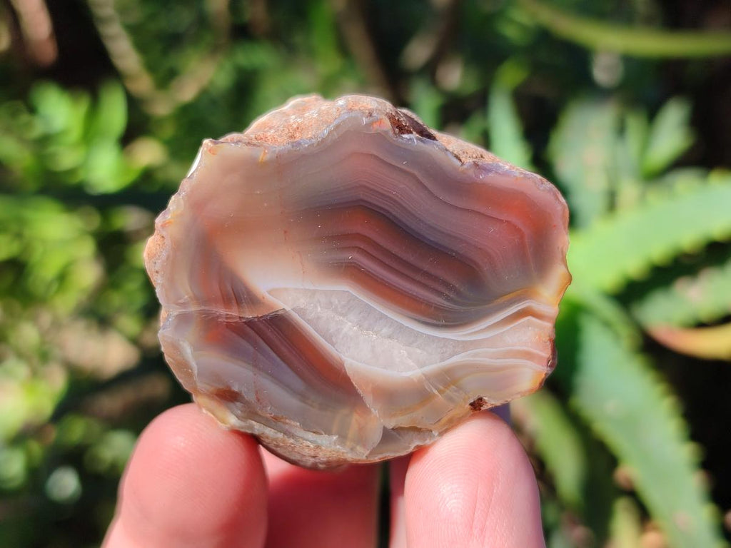 Polished One Side Red Shashe River Agate Nodules x 24 From Shashe River, Zimbabwe - Toprock Gemstones and Minerals 