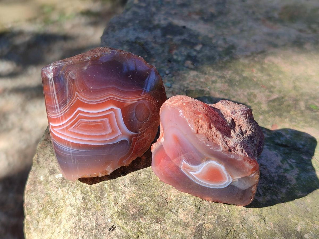 Polished One Side Red Shashe River Agate Nodules x 24 From Shashe River, Zimbabwe - Toprock Gemstones and Minerals 