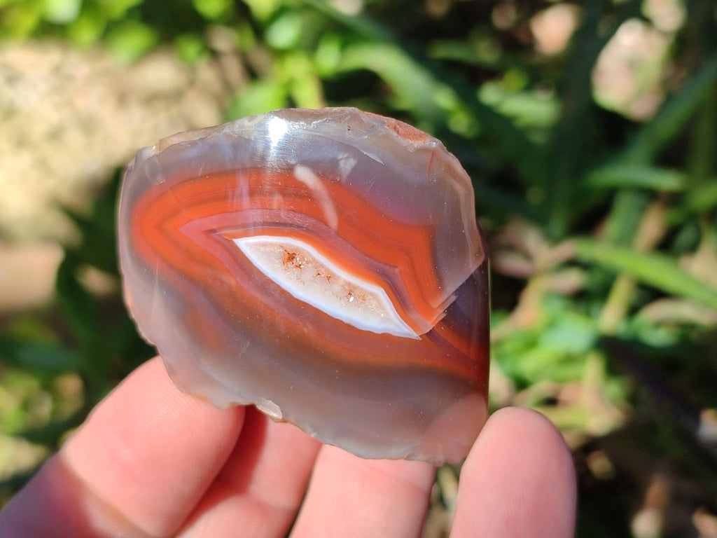 Polished One Side Red Shashe River Agate Nodules x 24 From Shashe River, Zimbabwe - Toprock Gemstones and Minerals 