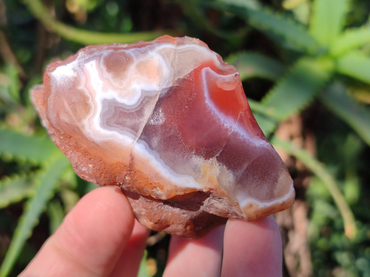 Polished One Side Red Shashe River Agate Nodules x 24 From Shashe River, Zimbabwe - Toprock Gemstones and Minerals 