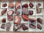 Polished One Side Red Shashe River Agate Nodules x 24 From Shashe River, Zimbabwe - Toprock Gemstones and Minerals 
