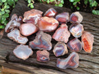 Polished One Side Red Shashe River Agate Nodules x 24 From Shashe River, Zimbabwe - Toprock Gemstones and Minerals 