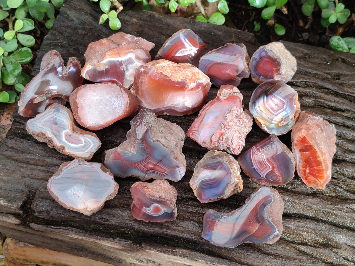 Polished One Side Red Shashe River Agate Nodules x 24 From Shashe River, Zimbabwe - Toprock Gemstones and Minerals 