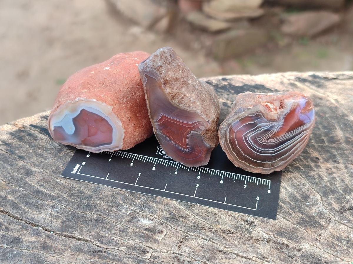 Polished One Side Red Shashe River Agate Nodules x 24 From Shashe River, Zimbabwe - Toprock Gemstones and Minerals 