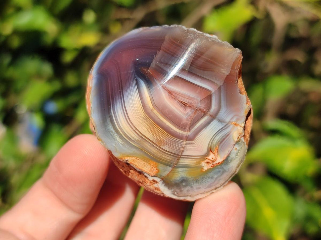 Polished One Side Red Shashe River Agate Nodules x 24 From Shashe River, Zimbabwe - Toprock Gemstones and Minerals 