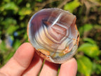 Polished One Side Red Shashe River Agate Nodules x 24 From Shashe River, Zimbabwe - Toprock Gemstones and Minerals 