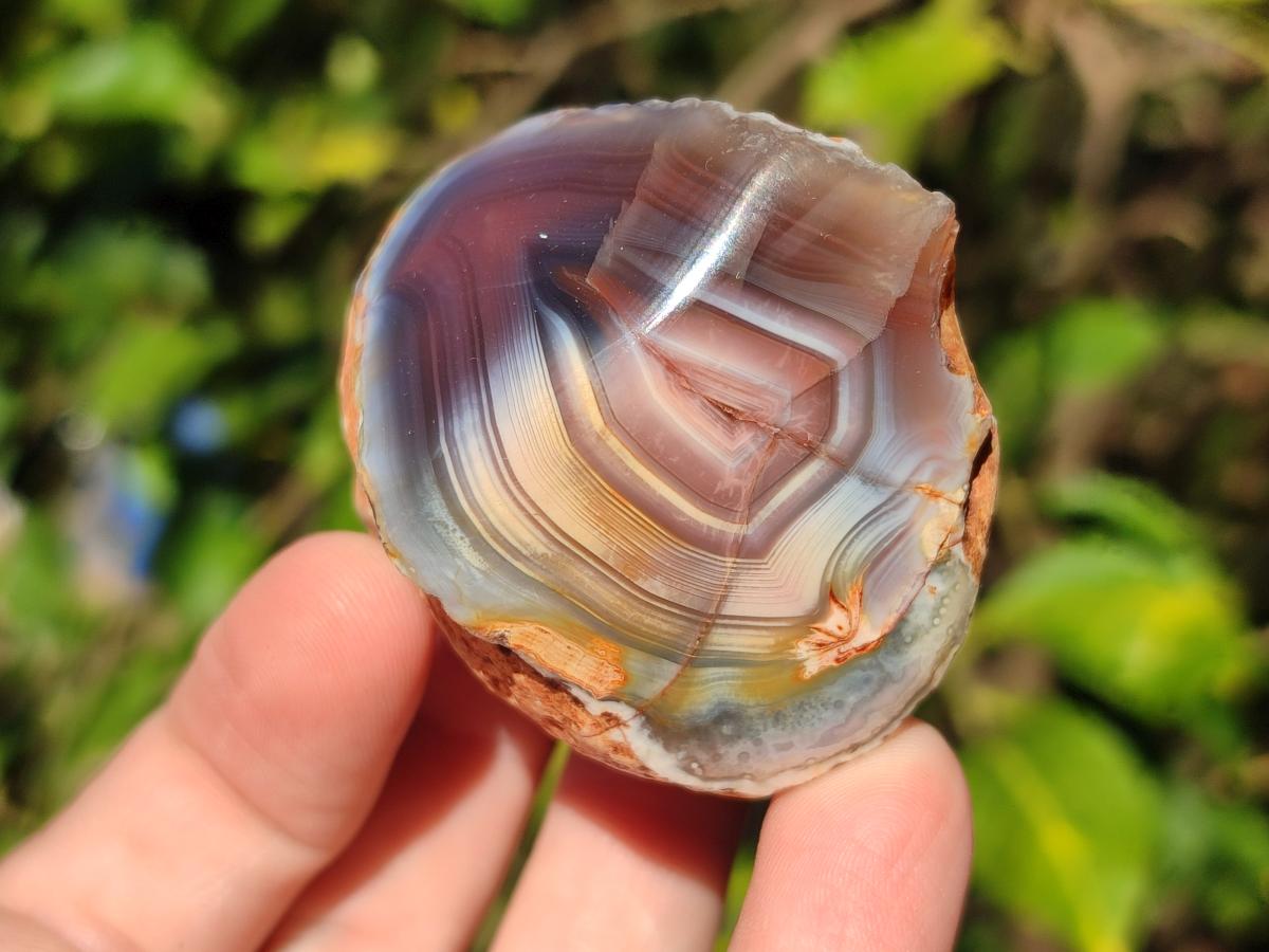 Polished One Side Red Shashe River Agate Nodules x 24 From Shashe River, Zimbabwe - Toprock Gemstones and Minerals 