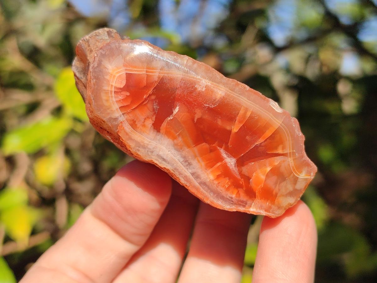 Polished One Side Red Shashe River Agate Nodules x 24 From Shashe River, Zimbabwe - Toprock Gemstones and Minerals 