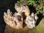 Natural Sugar Amethyst Clusters x 3 From Zambia - Toprock Gemstones and Minerals 