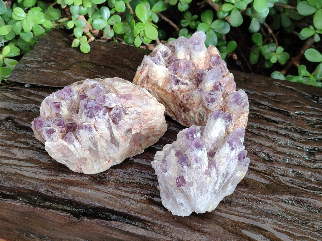Natural Sugar Amethyst Clusters x 3 From Zambia - Toprock Gemstones and Minerals 