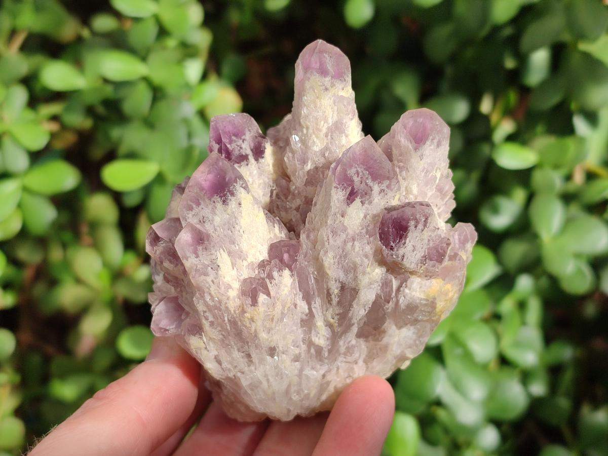 Natural Sugar Amethyst Clusters x 3 From Zambia - Toprock Gemstones and Minerals 