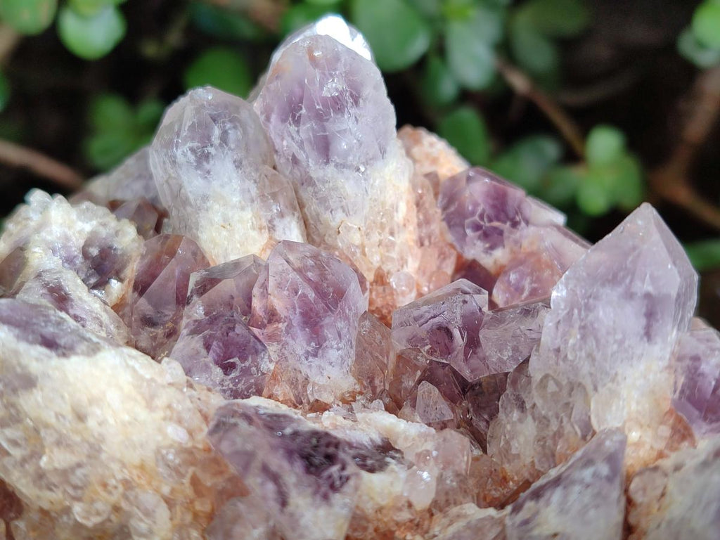 Natural Sugar Amethyst Clusters x 3 From Zambia - Toprock Gemstones and Minerals 