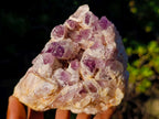 Natural Sugar Amethyst Clusters x 3 From Zambia - Toprock Gemstones and Minerals 