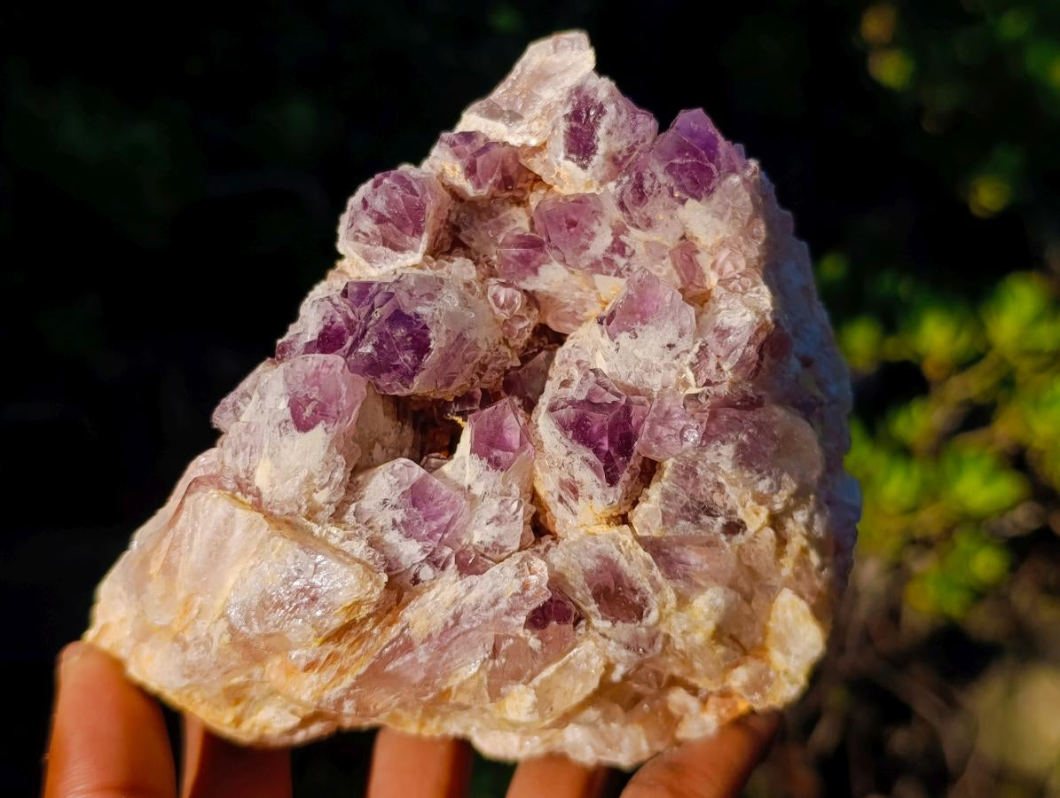 Natural Sugar Amethyst Clusters x 3 From Zambia - Toprock Gemstones and Minerals 