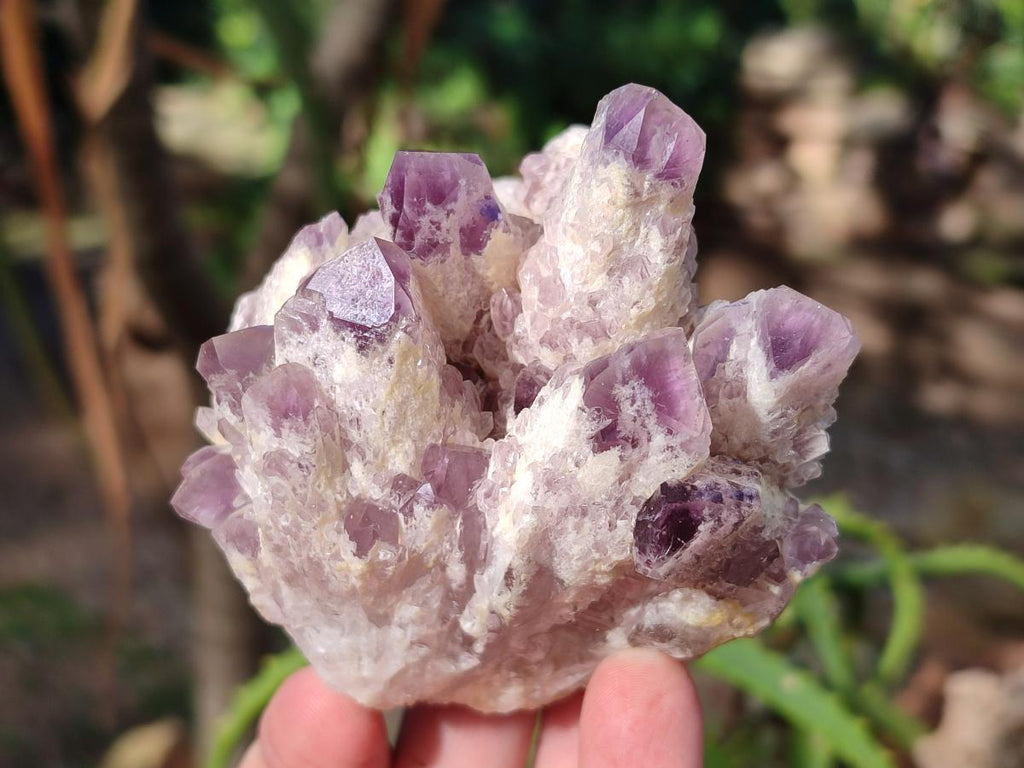 Natural Sugar Amethyst Clusters x 3 From Zambia - Toprock Gemstones and Minerals 