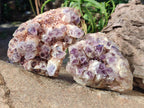 Natural Sugar Amethyst Clusters x 3 From Zambia - Toprock Gemstones and Minerals 