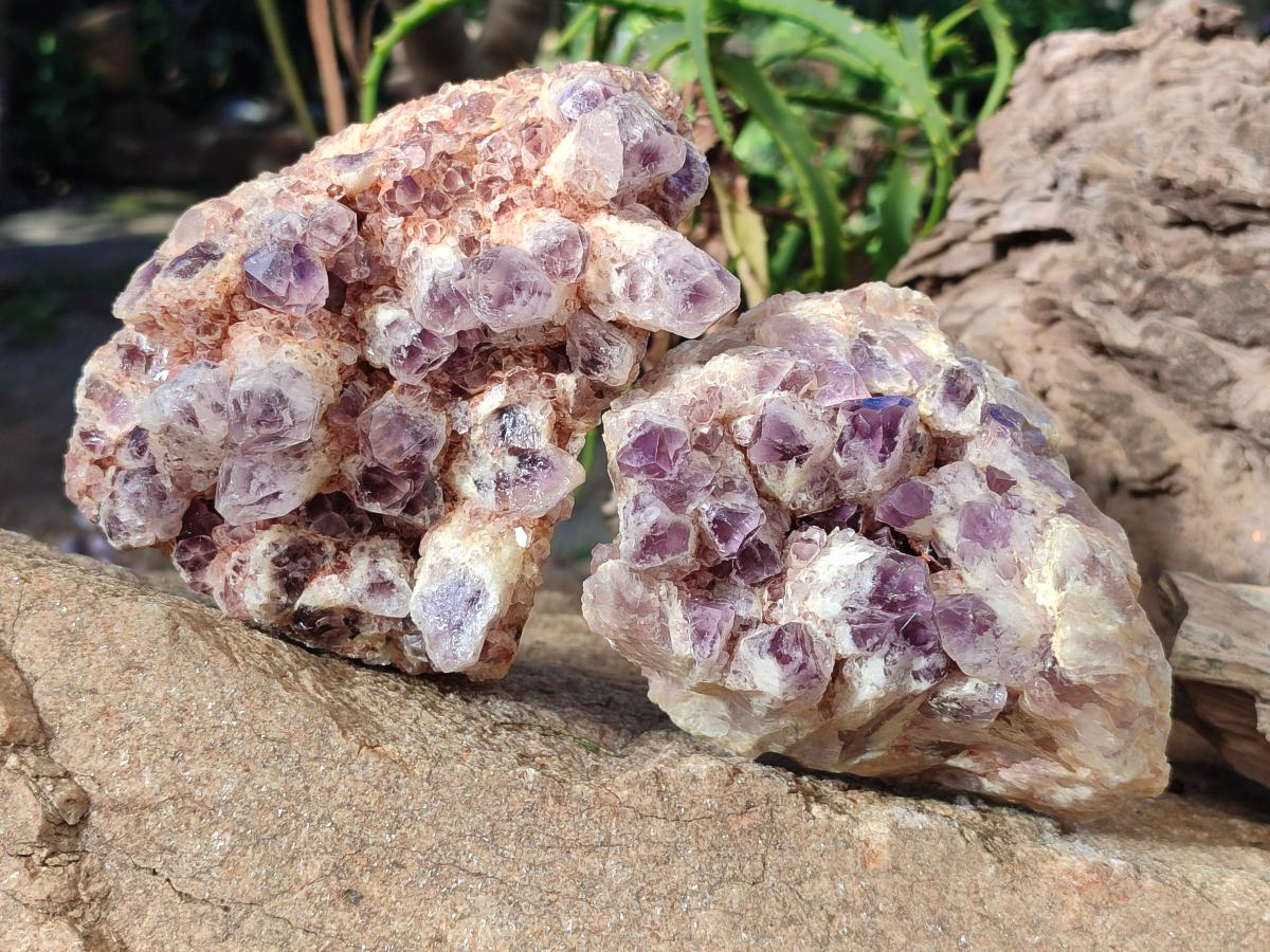 Natural Sugar Amethyst Clusters x 3 From Zambia - Toprock Gemstones and Minerals 