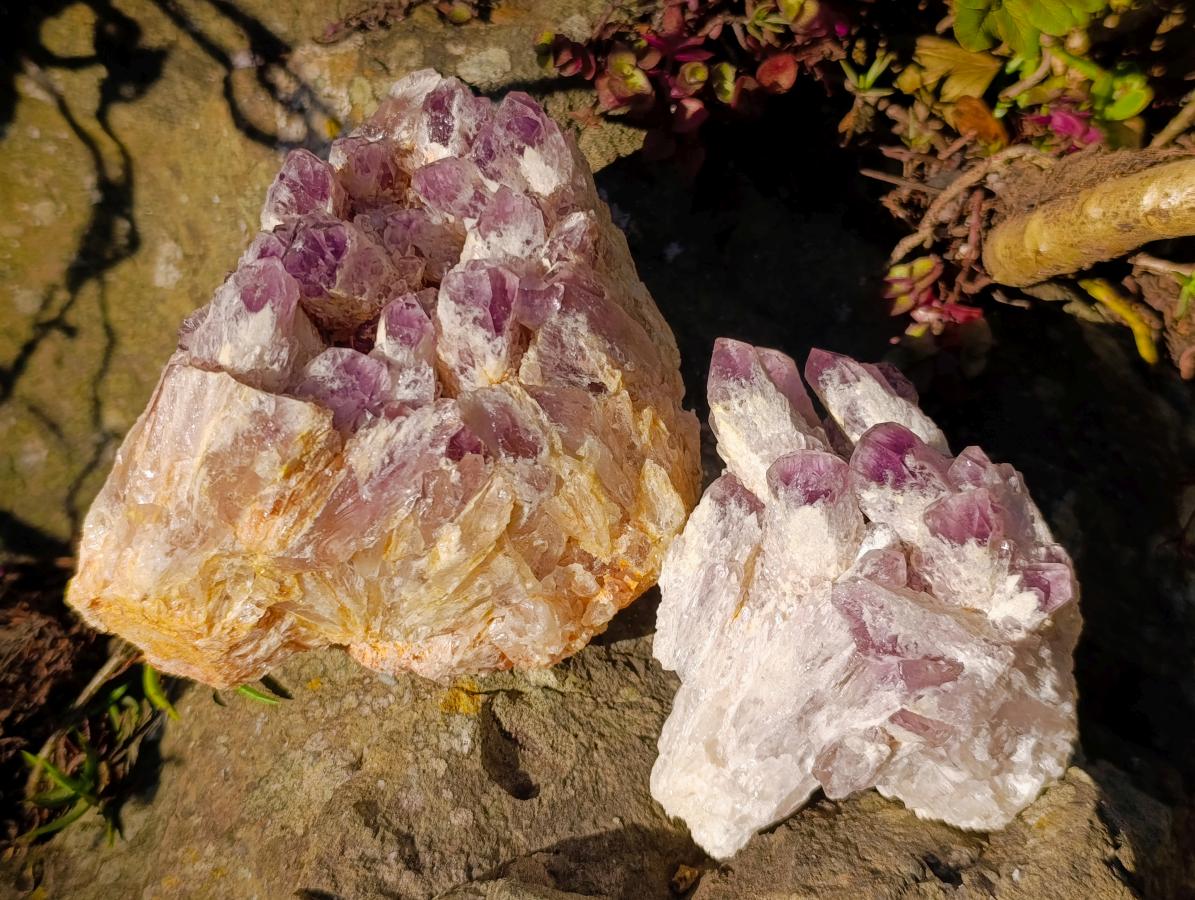 Natural Sugar Amethyst Clusters x 3 From Zambia - Toprock Gemstones and Minerals 
