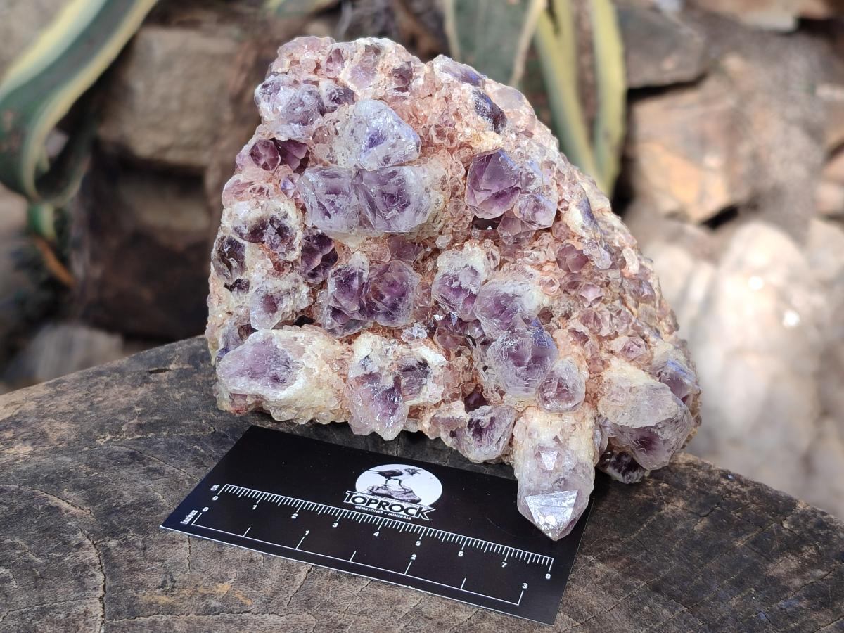 Natural Sugar Amethyst Clusters x 3 From Zambia - Toprock Gemstones and Minerals 