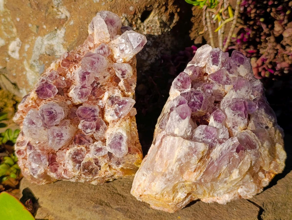 Natural Sugar Amethyst Clusters x 3 From Zambia - Toprock Gemstones and Minerals 