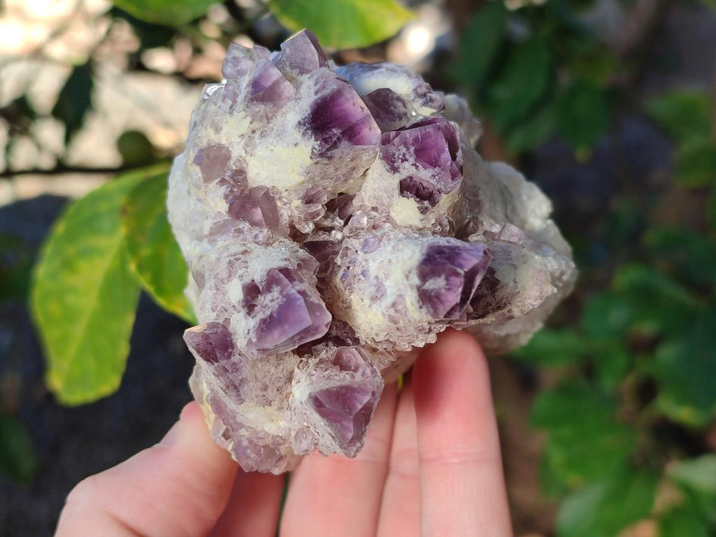 Natural Sugar Amethyst Clusters x 3 From Zambia - Toprock Gemstones and Minerals 