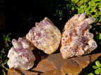 Natural Sugar Amethyst Clusters x 3 From Zambia - Toprock Gemstones and Minerals 