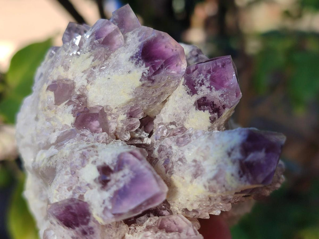 Natural Sugar Amethyst Clusters x 3 From Zambia - Toprock Gemstones and Minerals 