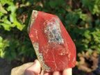 Polished Bastite Dragonsblood Stone Display Crystals x 2 From Tshipise, South Africa - Toprock Gemstones and Minerals 