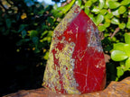 Polished Bastite Dragonsblood Stone Display Crystals x 2 From Tshipise, South Africa - Toprock Gemstones and Minerals 