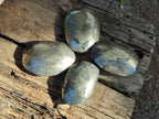 Polished Basalt Pharaoh Stone Galets x 9 From Iron Duke Mine, Zimbabwe - Toprock Gemstones and Minerals 