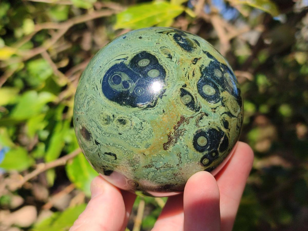 Polished Stromatolite Spheres x 4 From Katsepy, Madagascar - Toprock Gemstones and Minerals 