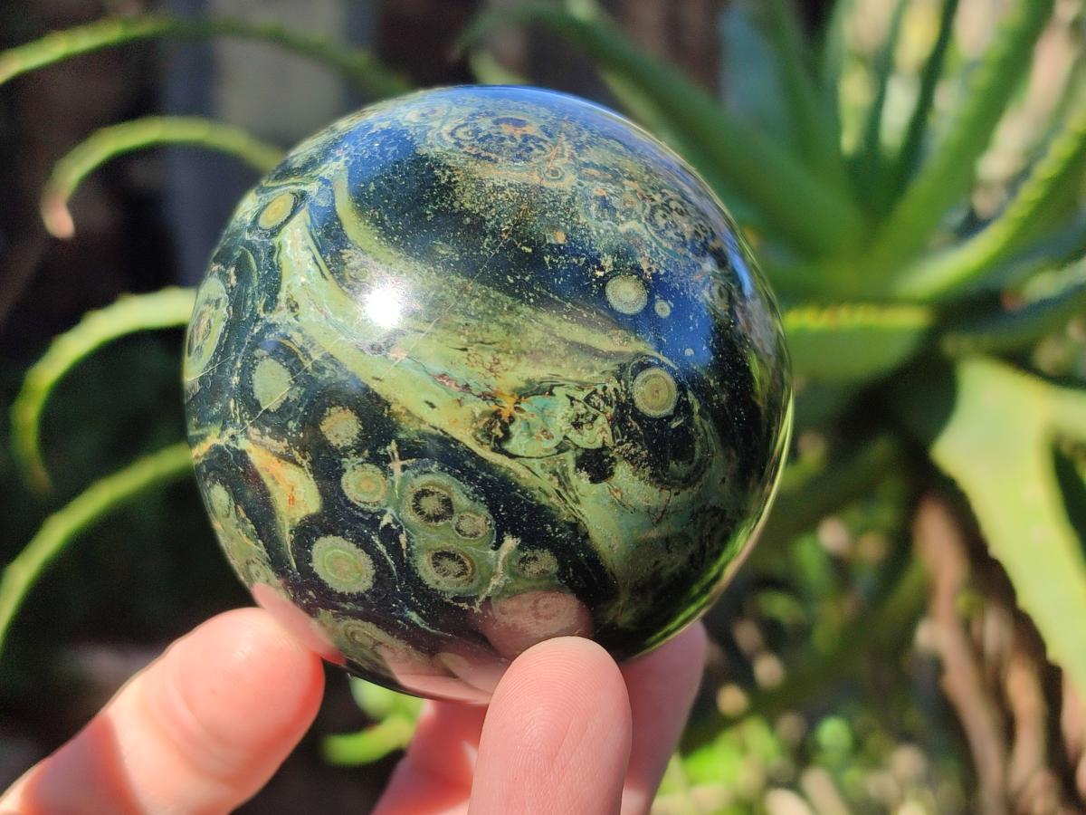 Polished Stromatolite Spheres x 4 From Katsepy, Madagascar - Toprock Gemstones and Minerals 