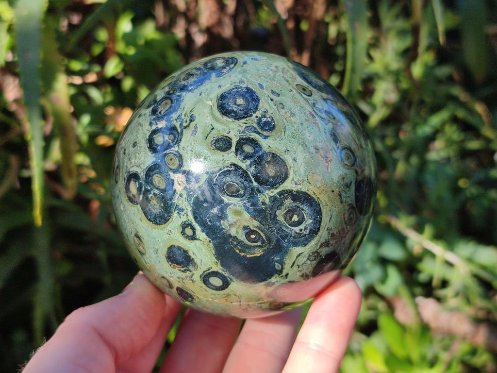 Polished Stromatolite Spheres x 4 From Katsepy, Madagascar - Toprock Gemstones and Minerals 