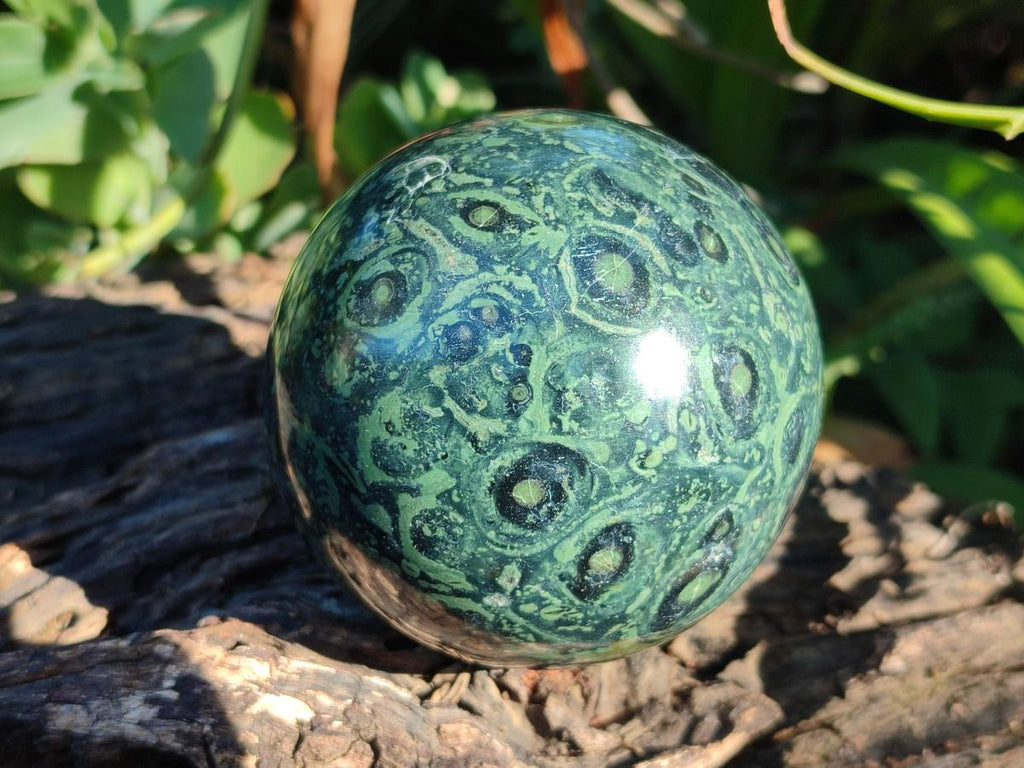 Polished Stromatolite Spheres x 4 From Katsepy, Madagascar - Toprock Gemstones and Minerals 