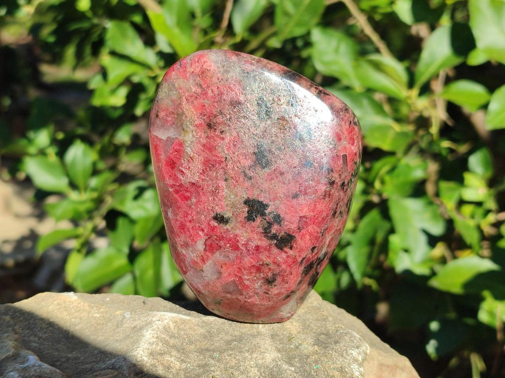 Polished Large Rhodonite Standing Display Piece x 1 From Rhusinga, Zimbabwe - Toprock Gemstones and Minerals 