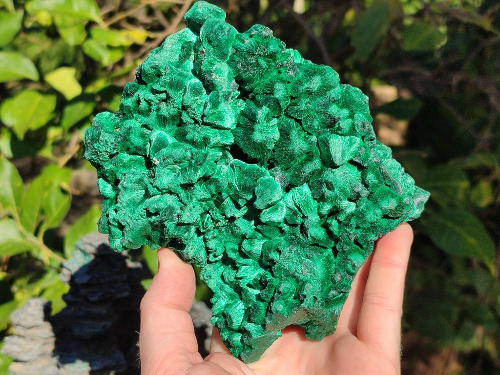 Natural Large Silky Malachite Specimen x 1 From Kasompe, Congo - Toprock Gemstones and Minerals 